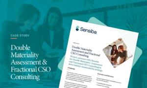 Double-Materiality-Assessment-Fractional-CSO-Consulting case study cover page